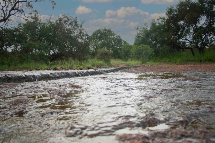 For Sale: Farm in Dinokeng Game Reserve with house, workshop, dam, and borehole.