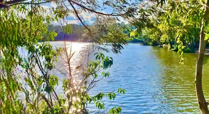 North Riding Apartment To Rent: Open plan studio, gym, pools, security access.