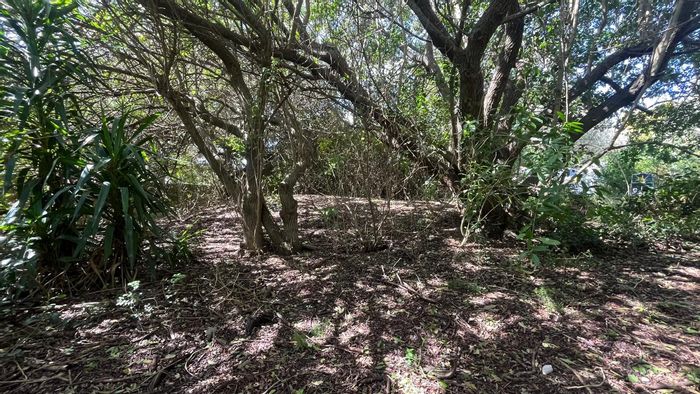 Vacant Land Residential For Sale in Paradise Beach – Build Your Coastal Retreat Today!