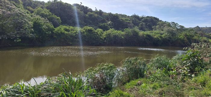 For Sale: 6.7-hectare farm in Meisies Halt with river frontage and equestrian facilities.