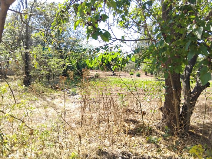 1500m² Vacant Land in Glen Austin AH To Rent for diverse business opportunities.
