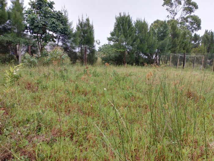 Vacant Land Residential for Sale in Mzingazi, 1000 m² near lake views.