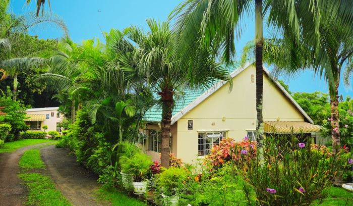 Parkside House For Sale: 3 beds, flatlet, fruit trees, security, ample parking.