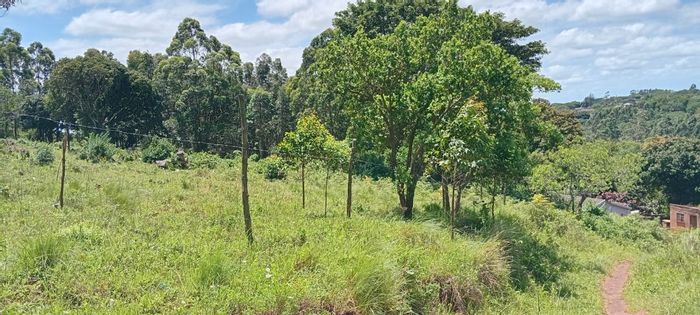 Ongoye For Sale: 5000m² Vacant Residential Land, ideal for your dream home.