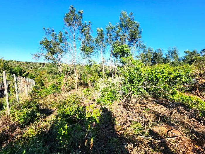 Vacant Land Residential For Sale in Langvlei Dunes: 1.82 hectares of untouched nature.
