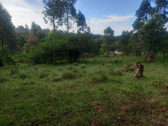 Ongoye For Sale: 4900m² Vacant Residential Land, ideal for your dream home.