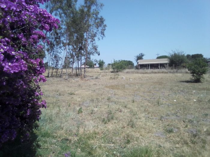 For Sale: Versatile 4-Hectare Farm in Timsrand AH, ideal for diverse businesses.