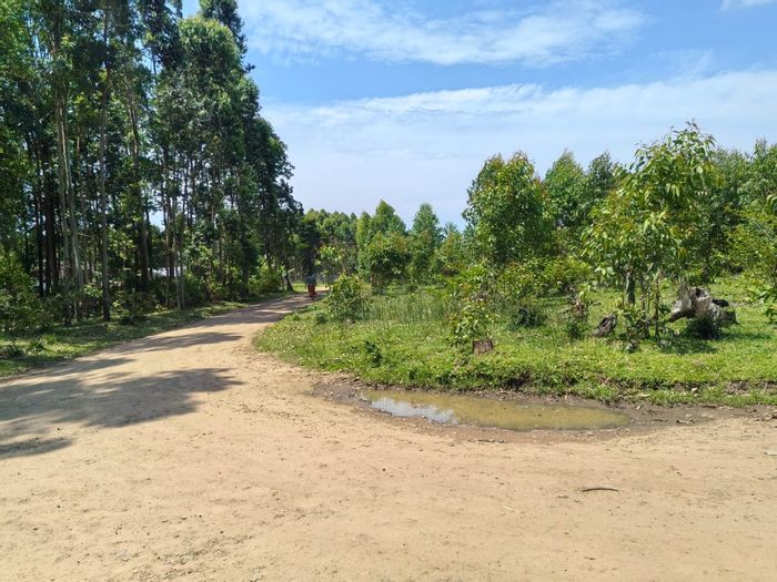 Mzingazi For Sale: 2351.25 m² Vacant Residential Land, near main road access.