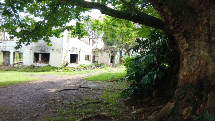 For Sale: Farm in Ixopo Central with 3-bedroom house, ideal for development.