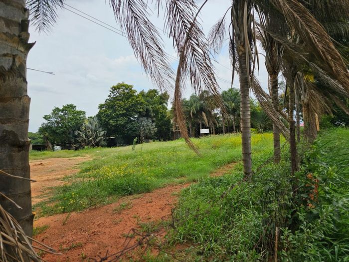 For Sale: 9,338 m² Commercial Stand on R524, Thohoyandou - Prime Investment Opportunity.