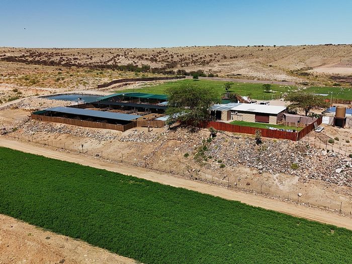Farm for Sale in Upington Rural: Water rights, grazing land, and solid infrastructure.