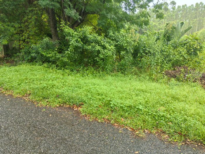 For Sale: 2000 m² residential land in Kwambonambi Central, near schools and amenities.