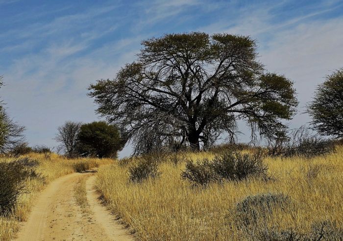 For Sale: Farm in Hotazel Rural with extensive grazing, water security, and infrastructure.