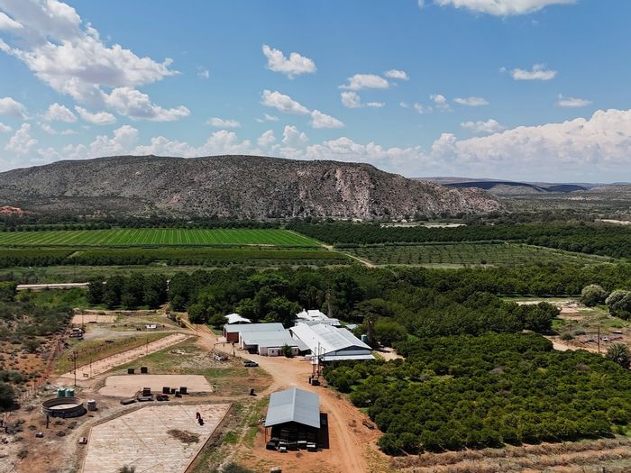 Irrigation Farm For Sale in Groblershoop Central with Water Rights and Infrastructure