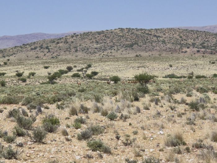 For Sale: Game ranch farm in Upington Rural with boreholes and outdoor amenities.