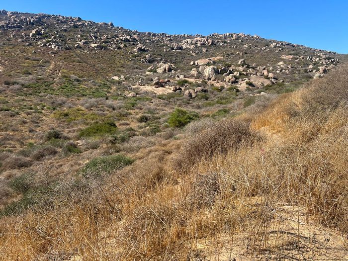 Vacant Land Residential For Sale in Steenbergs Cove: Ideal for your dream home.