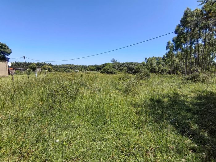 Vacant Residential Land for Sale in Mzingazi, near schools and amenities.