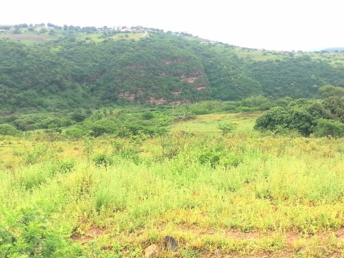 20-hectare farm for sale in Stanger Central, ideal for commercial farming.