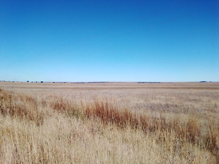 10ha Farm in Laezonia To Rent: Flexible spaces, agriculture opportunities, easy access.