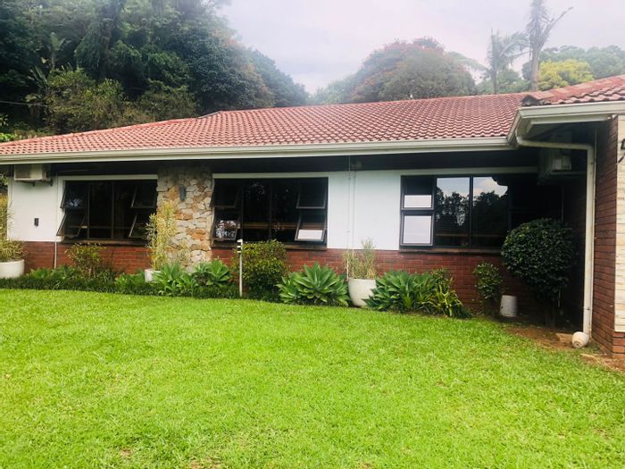 Kloof Central House To Rent: 4 Bedrooms, pool, gardens, parking, and veranda.