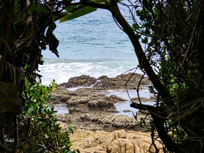 Pumula House For Sale: Beach access, multiple kitchens, entertainment patio, and ample parking.