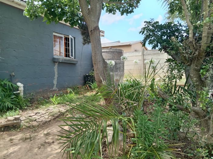 Wittedrift AH House For Sale: 2 beds, 1 bath, open-plan living, fireplace.