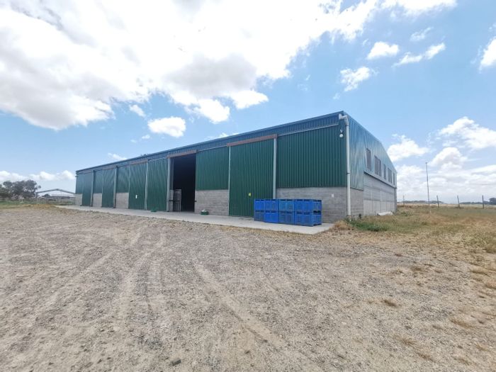 Philippi Farm For Sale: 5919 sqm with warehouse, income potential, and strategic location.