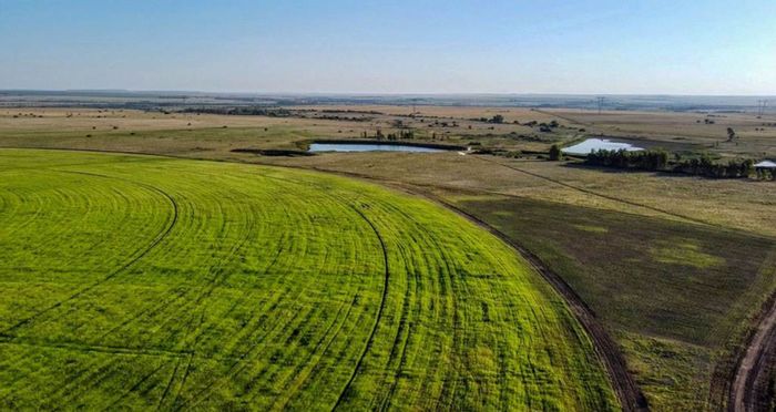 Irrigation Farm for Sale in Theunissen Central: 280ha with Water Rights & Grazing