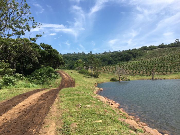 For Sale: Banners Rest Farm with 5870 trees, irrigation, tractor, and facilities.