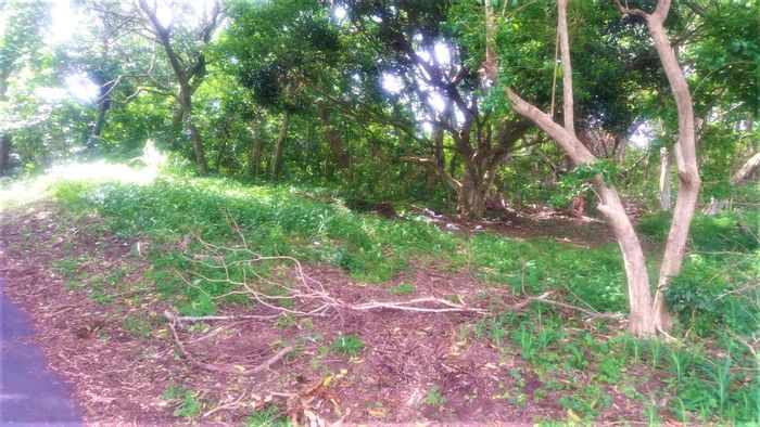 Prime Umtentweni Vacant Land for Sale, Close to Beach and Amenities!