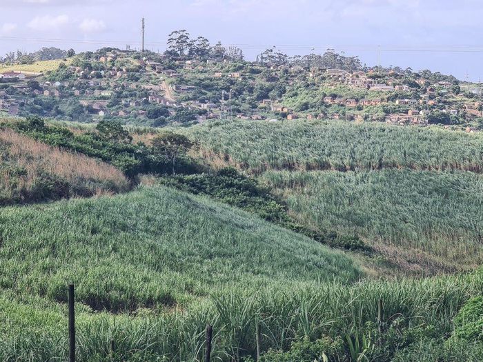 For Sale: Marburg Farm, 40.4 hectares, sugar cane, multiple dwellings, income potential.