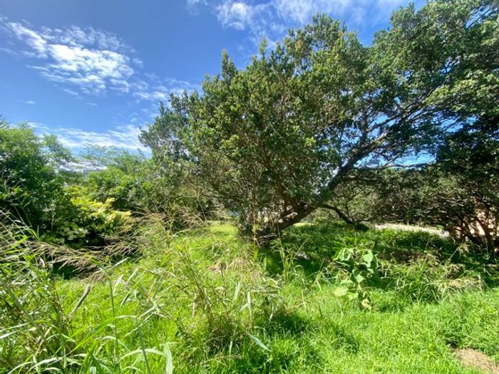 Prime 1159sqm Vacant Land For Sale in Pennington Central – Walk to Shops & Beaches!