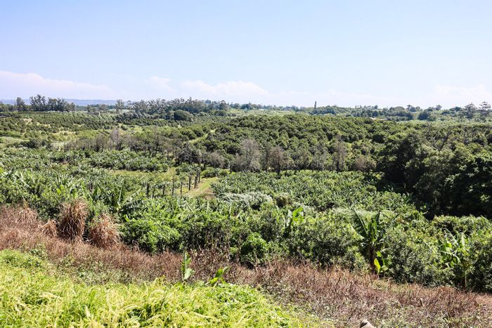 For Sale: Prime Marina Beach Farm with Macadamia, Bananas, and Stunning Views!