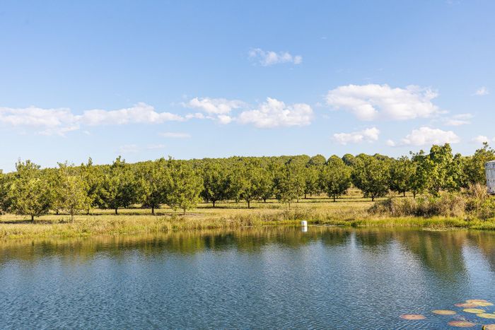 Thriving Macadamia Farm for Sale in Paddock with Processing Facility and Accommodation