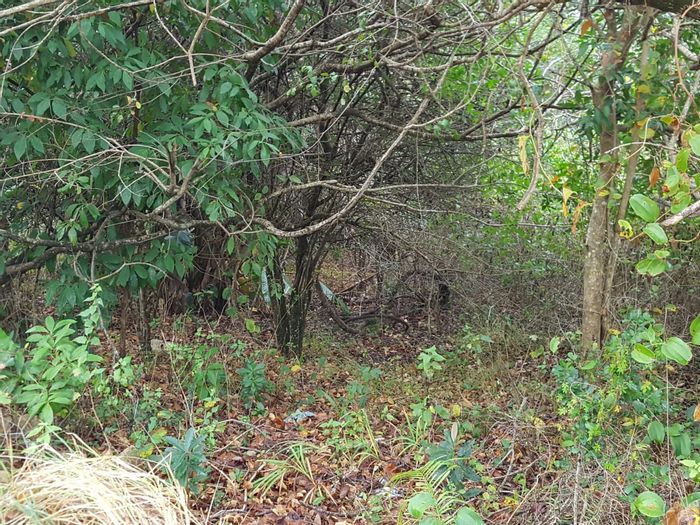 Vacant Land Residential For Sale in Hibberdene Central, 1115 m² with views.