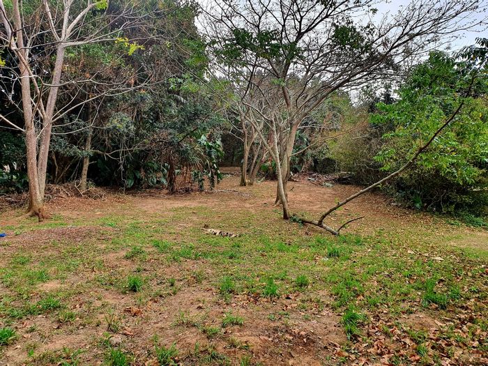 Vacant Land For Sale in Catalina Bay: Ideal for Home or Investment!