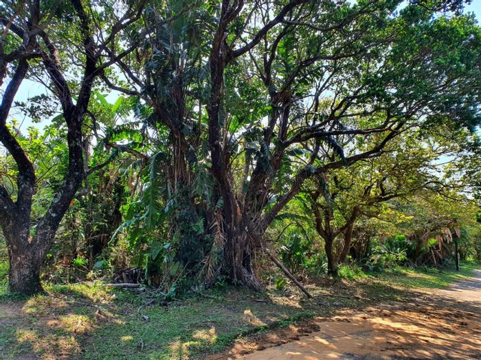 Adjoining Vacant Residential Lots for Sale in Hibberdene Central, Ideal for Development!