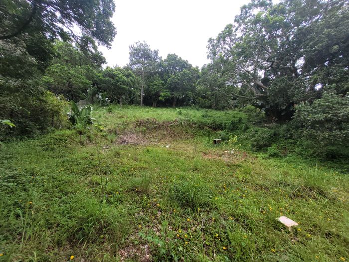 Prime Catalina Bay Vacant Land: Build Your Dream Home Near Beaches & Amenities!