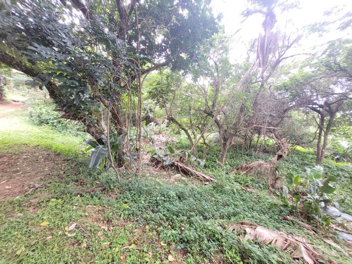 Build Your Dream Home in Catalina Bay - Vacant Land For Sale!