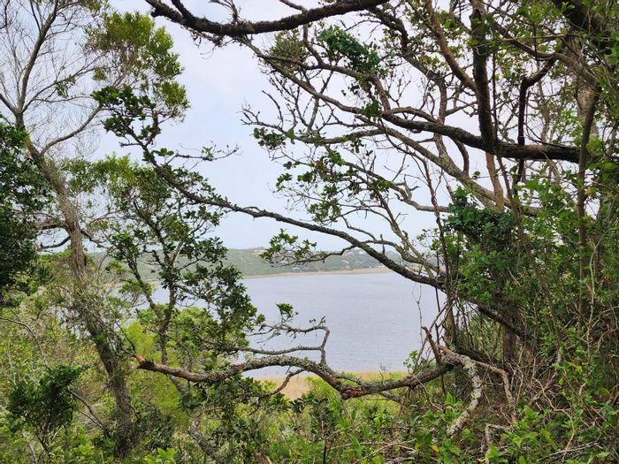 Vacant Farm for Sale in Langvlei Dunes: 1.61 hectares, nature connection, development-ready.