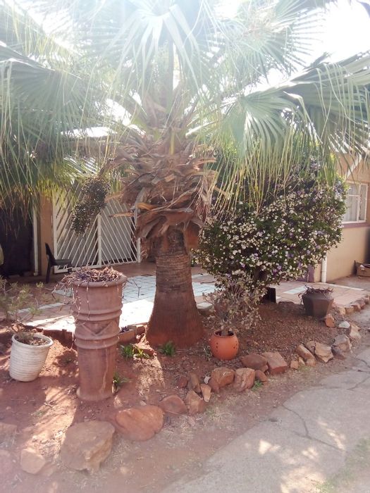 For Sale: Sophiatown House with 3 bedrooms, office, income cottage, and ample parking.