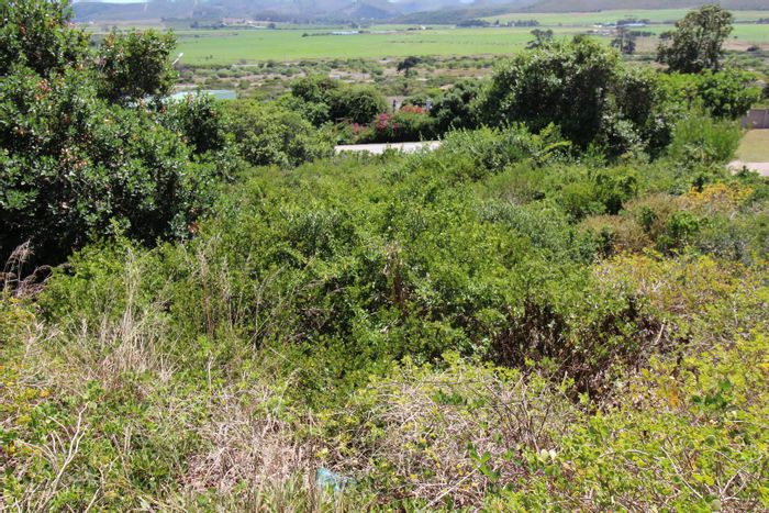 Vacant Land Residential in Fraaiuitsig For Sale: 900sqm with mountain and valley views.