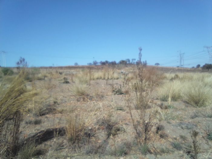 Laezonia To Rent: 60 hectares vacant land for agriculture and business opportunities.