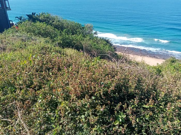 Bluff Vacant Land Residential For Sale: Beach access, sea views, utilities installed.
