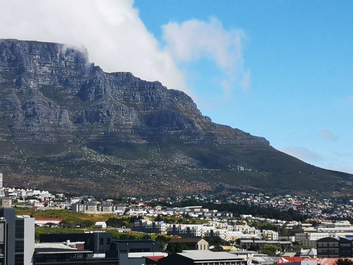 Woodstock Apartment For Sale: Micro units, pool, retail space, and biometric security.