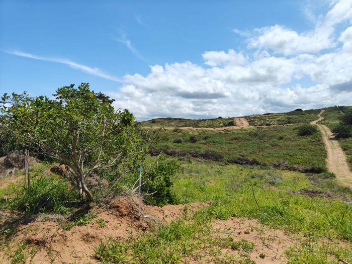 Seaton Estate For Sale: Vacant Land Residential with direct beach access and open spaces.