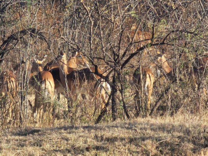 Vacant Land Residential in La Camargue Private Country Estate with wildlife and amenities. For Sale.