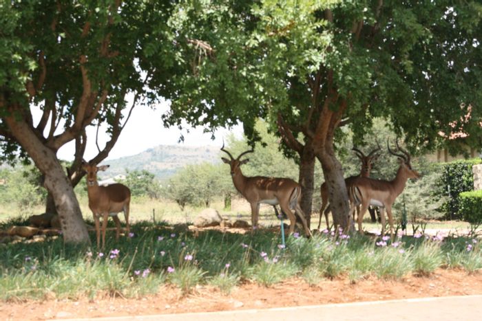 La Camargue Private Country Estate: For Sale - Vacant Land Residential with wildlife, security, and off-grid potential.