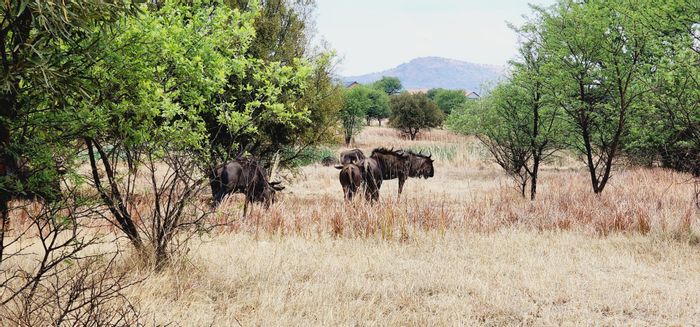 La Camargue Private Country Estate For Sale: 92 hectares of wildlife-rich vacant land.