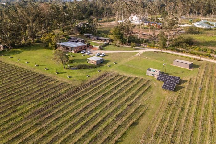 Harkerville AH Farm For Sale: Vineyard, restaurant, private home, and event space.